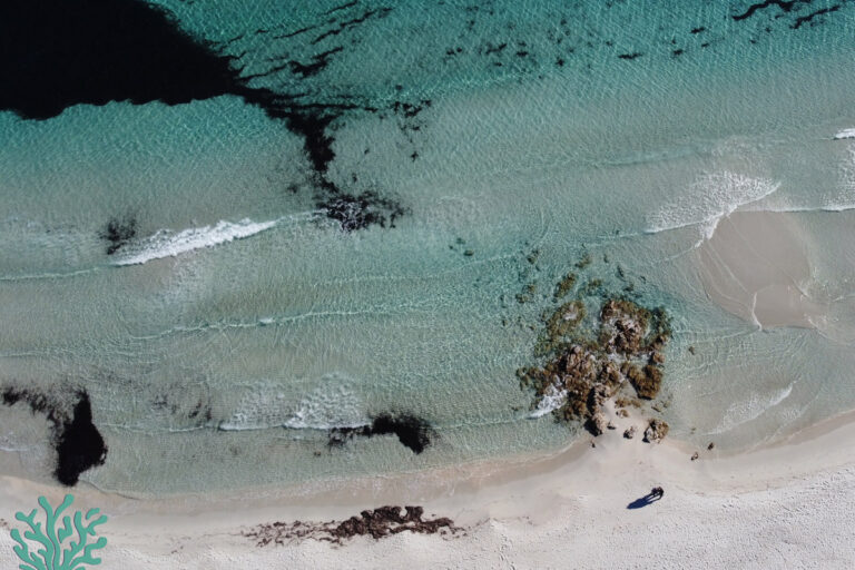 La rena Bianca Portisco